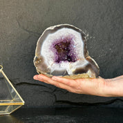 Hand holding an extra-large, deep purple amethyst geode with white and brown agate edges.