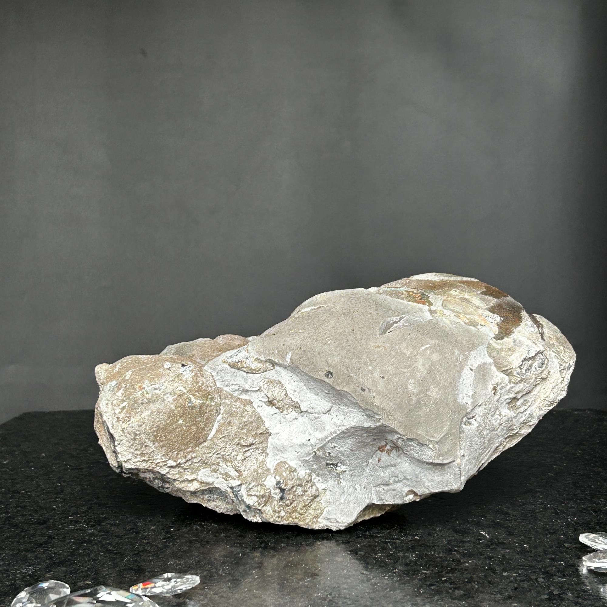 Rough, unpolished amethyst geode exterior, showing natural gray and brown rock.