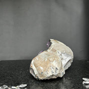 Large 9.5-inch wide Uruguayan amethyst geode with deep purple crystals embedded in natural rock.