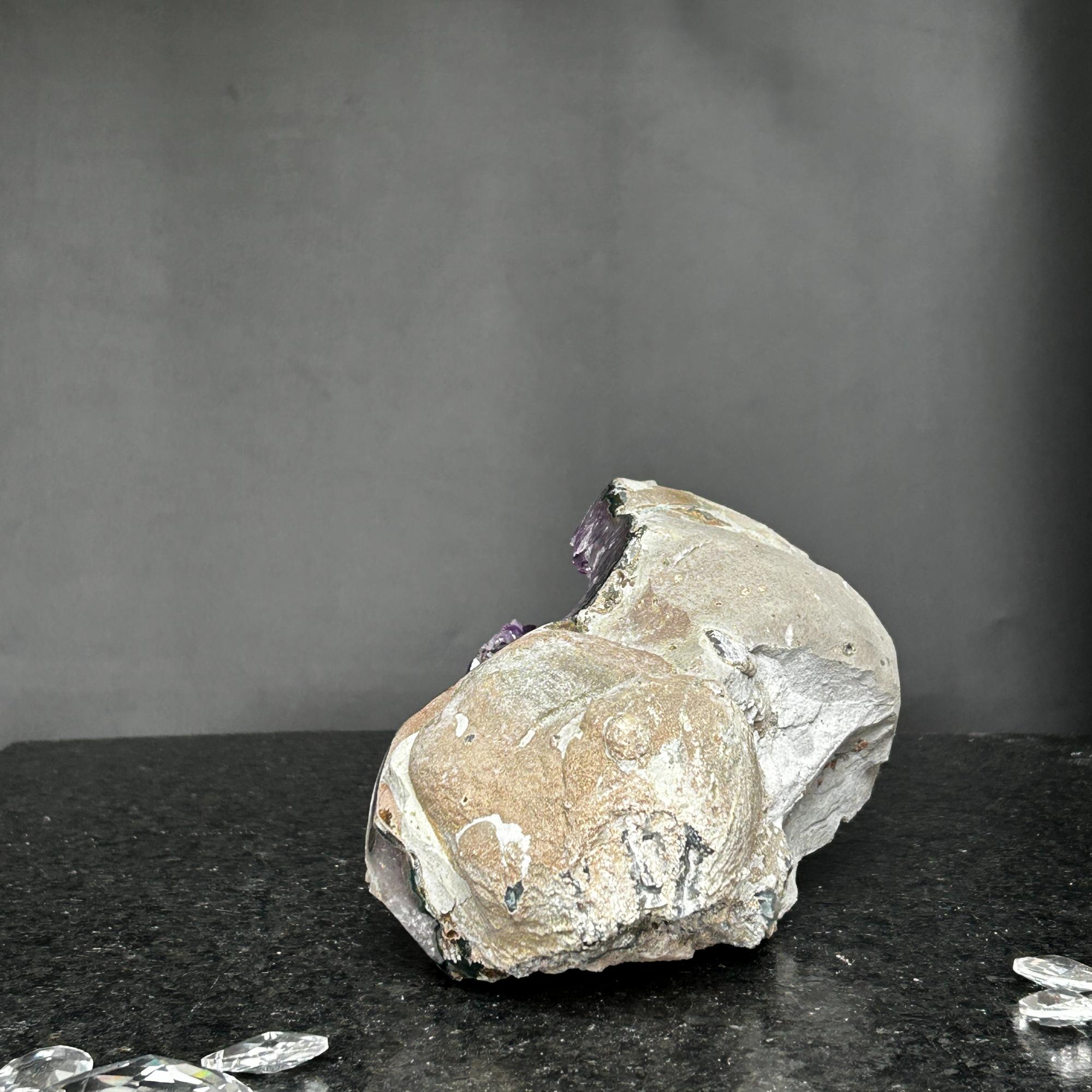 Large 9.5-inch wide Uruguayan amethyst geode with deep purple crystals embedded in natural rock.