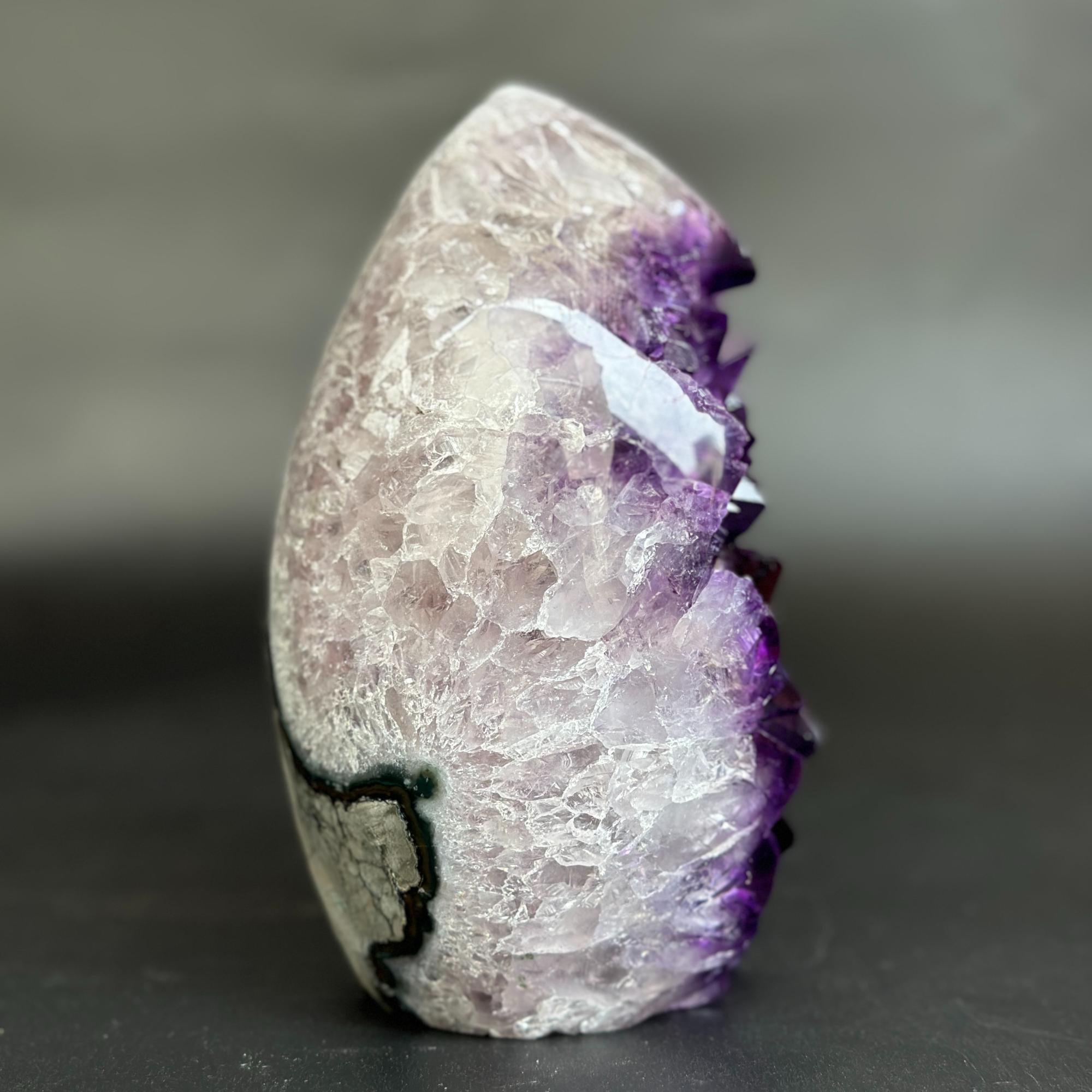 A natural amethyst crystal cluster with a polished, rounded shape, showing a light lavender body with deep purple crystal points and a black matrix line, set against a dark gray background.