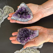 Two hands holding flat, deep purple Uruguayan amethyst crystal clusters for home decor.