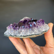 Hand holding a vibrant deep purple Uruguayan amethyst cluster with sparkling crystal points.