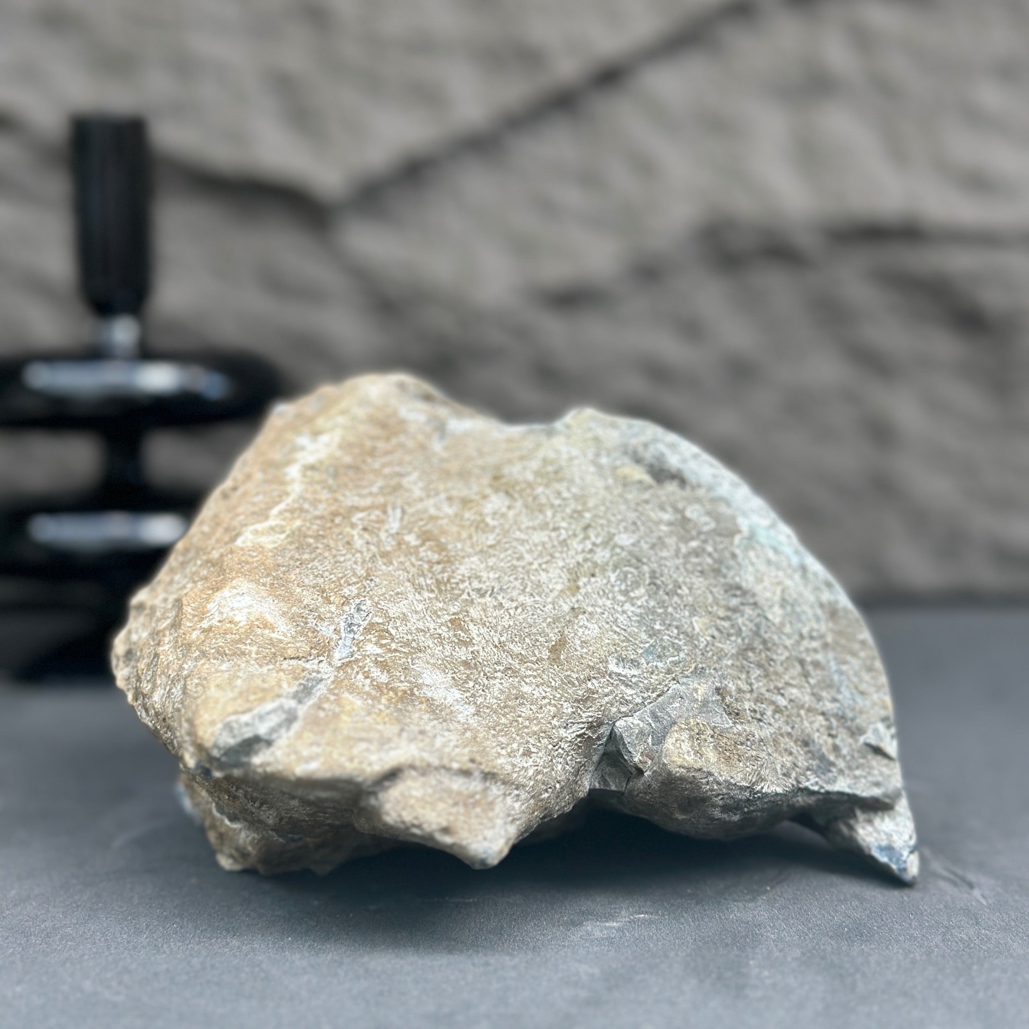 Rough, unpolished amethyst geode exterior in natural gray and brown tones.