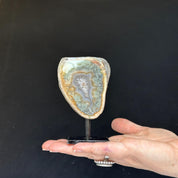 Cutest Crystal Gift, Jasper SET on Stand, Colorful Jasper Slice with metallic base, home decoration, mineral formations for collectors