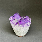 Extra large Uruguayan amethyst geode with vibrant deep purple crystal points and a natural white base.