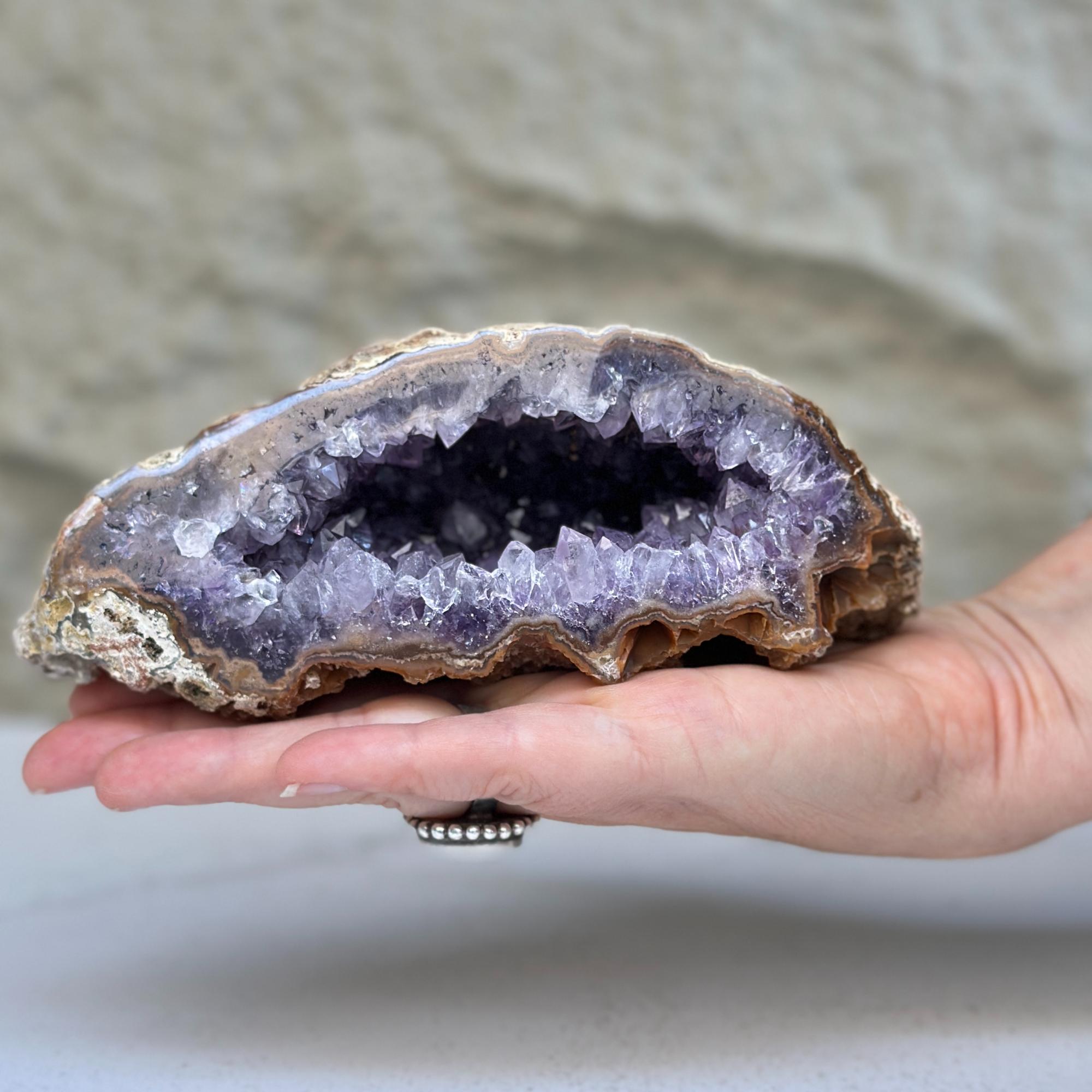 Extra Large Uruguayan Amethyst Cluster Centerpiece