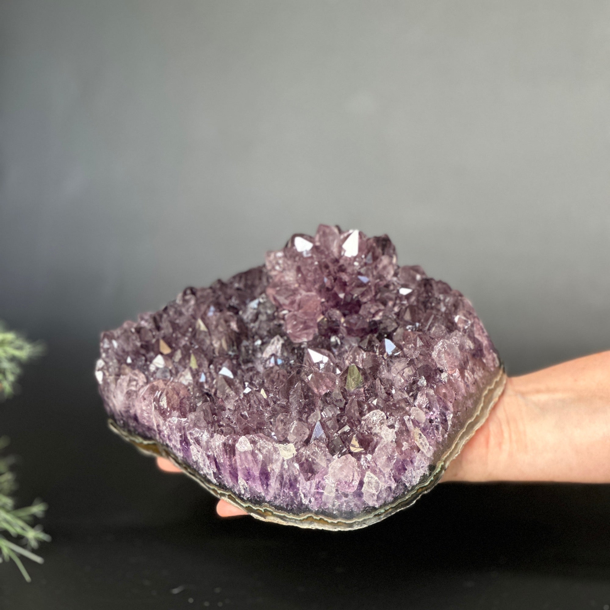 Extra Large Amethyst, Flat shaped Full polished stone, Stunning decor piece