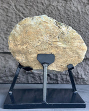 Amethyst Formation for Collectors, Rare Crystal Geode with Calcite, Outstanding Quality Amethyst