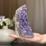 Huge deep purple amethyst crystal geode with a cut base, held in a hand.