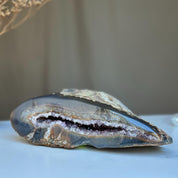 Agate Toptable Decor, Natural geode from Uruguay, Deep Purple Project Crystal, Stunning cave with amethysts points inside