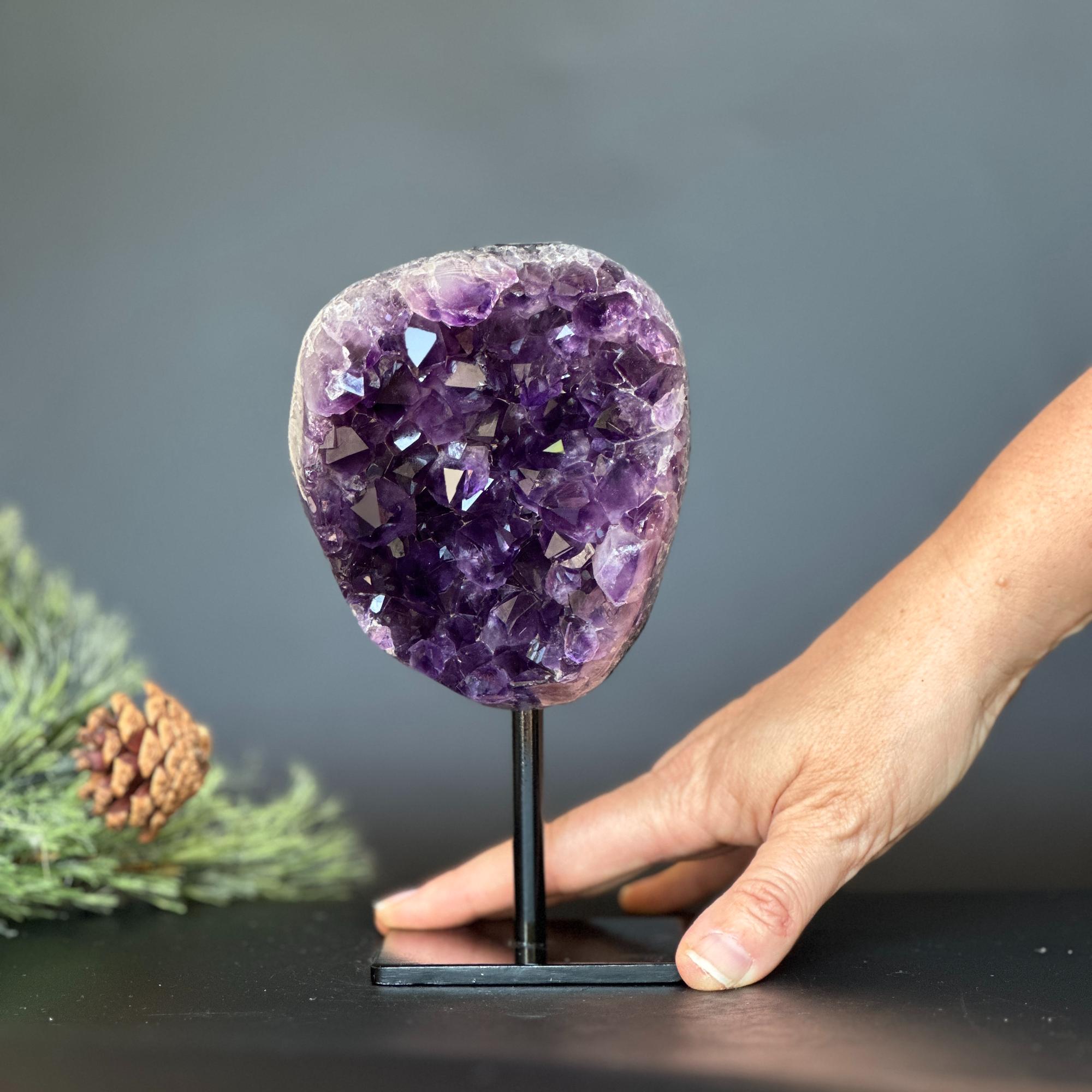 Deep purple Uruguayan amethyst geode on a black stand, with a hand and pine branch nearby.