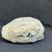 Rough, unpolished amethyst geode exterior with natural rock textures and earthy tones.