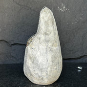 Precious amethyst stone, semi precious geode
