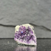 Amethyst crystal on a dark surface with a gray background
