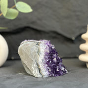 Amethyst crystal on a dark surface with blurred green leaves and white object in the background
