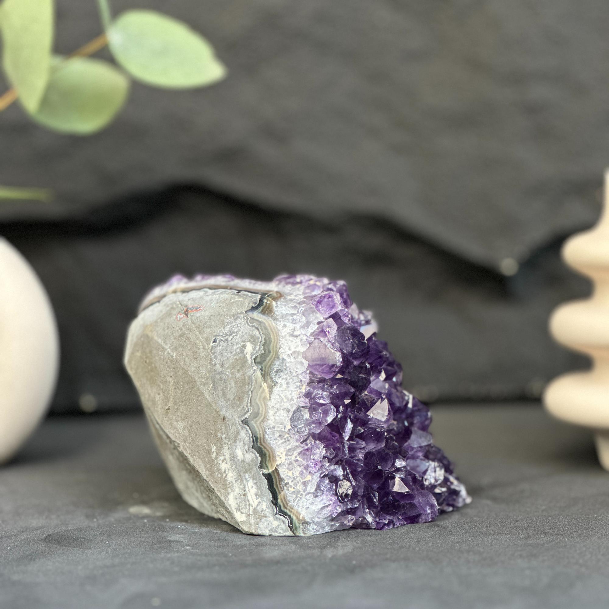 Amethyst crystal on a dark surface with blurred green leaves and white object in the background