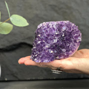 Hand holding a large purple amethyst crystal against a dark background with green leaves.