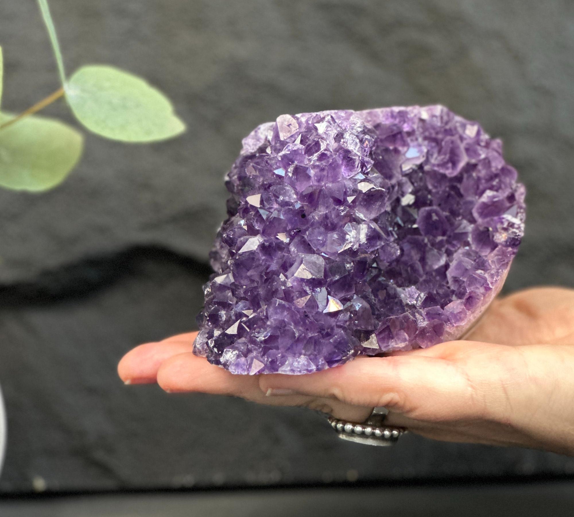 Hand holding a large purple amethyst crystal against a dark background with green leaves.