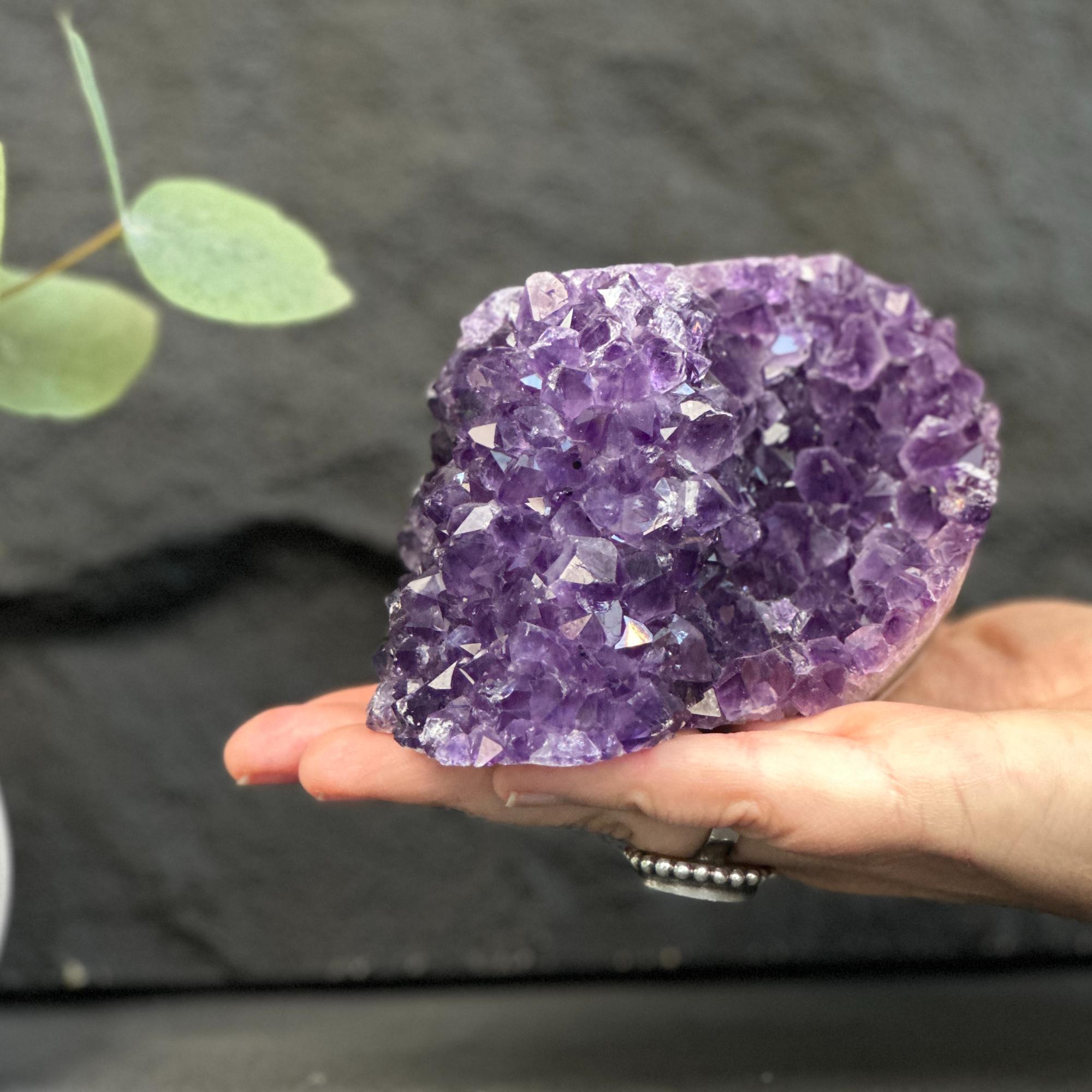 Hand holding a large purple amethyst crystal against a dark background with green leaves.