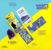 DeepPurpleProject Geo Genius Amethyst STEM Discovery Kit for kids, includes natural amethyst cluster, poster, stickers, and stand.