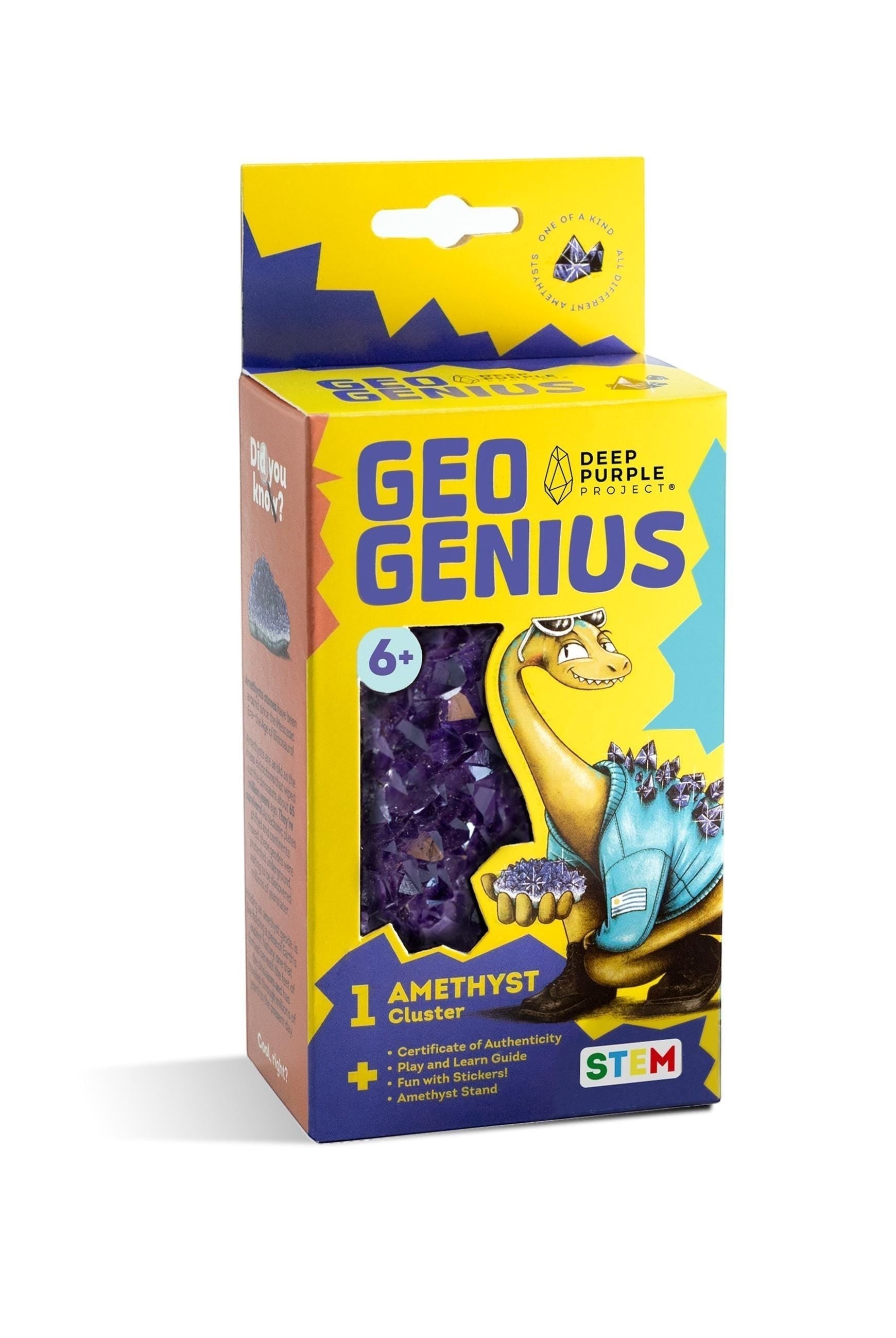 Caja de kit de descubrimiento STEM Geo Genius de DeepPurpleProject con un racimo de amatista natural y un dinosaurio amigable. Para niños de 6+ años.