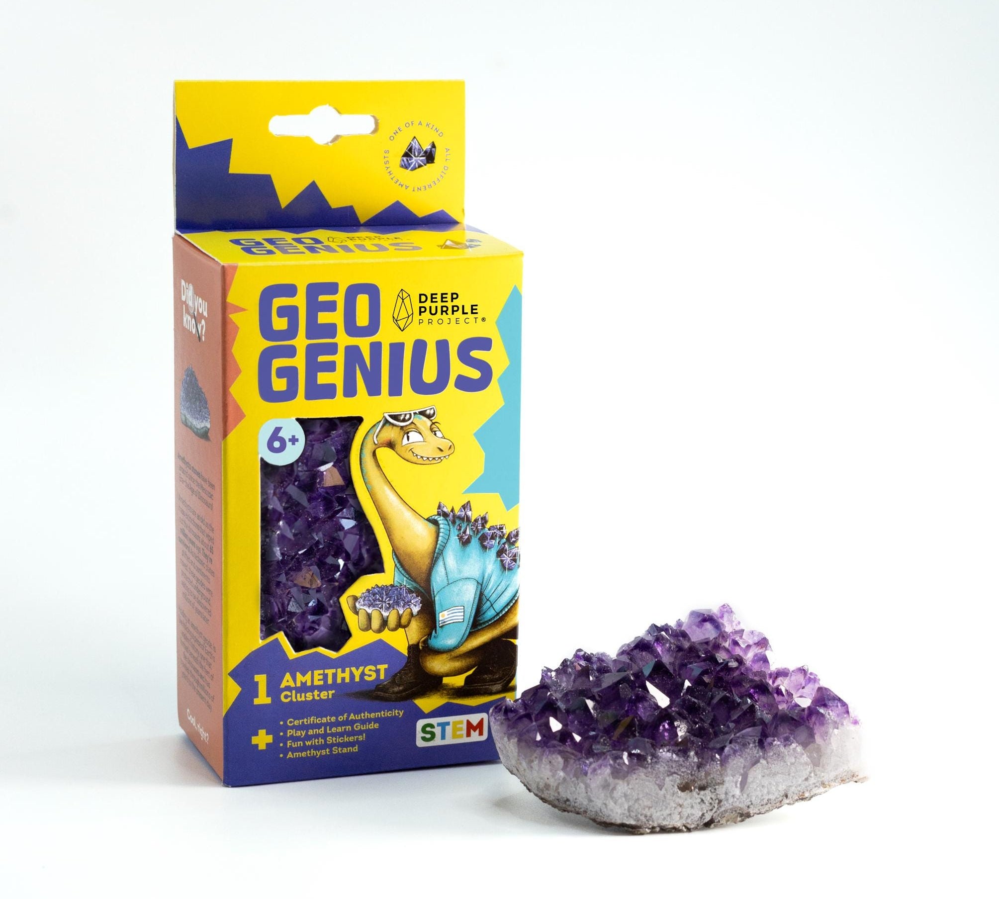 Geo Genius – Amethyst Discovery Kit for Kids (Ages 6+), Educational Crystal & Geology STEM Set