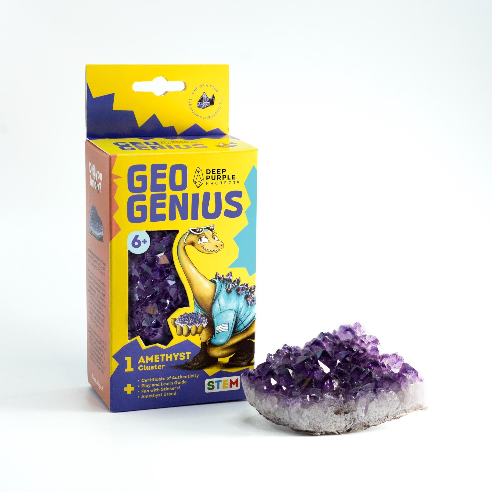 Geo Genius – Amethyst Discovery Kit for Kids (Ages 6+), Educational Crystal & Geology STEM Set