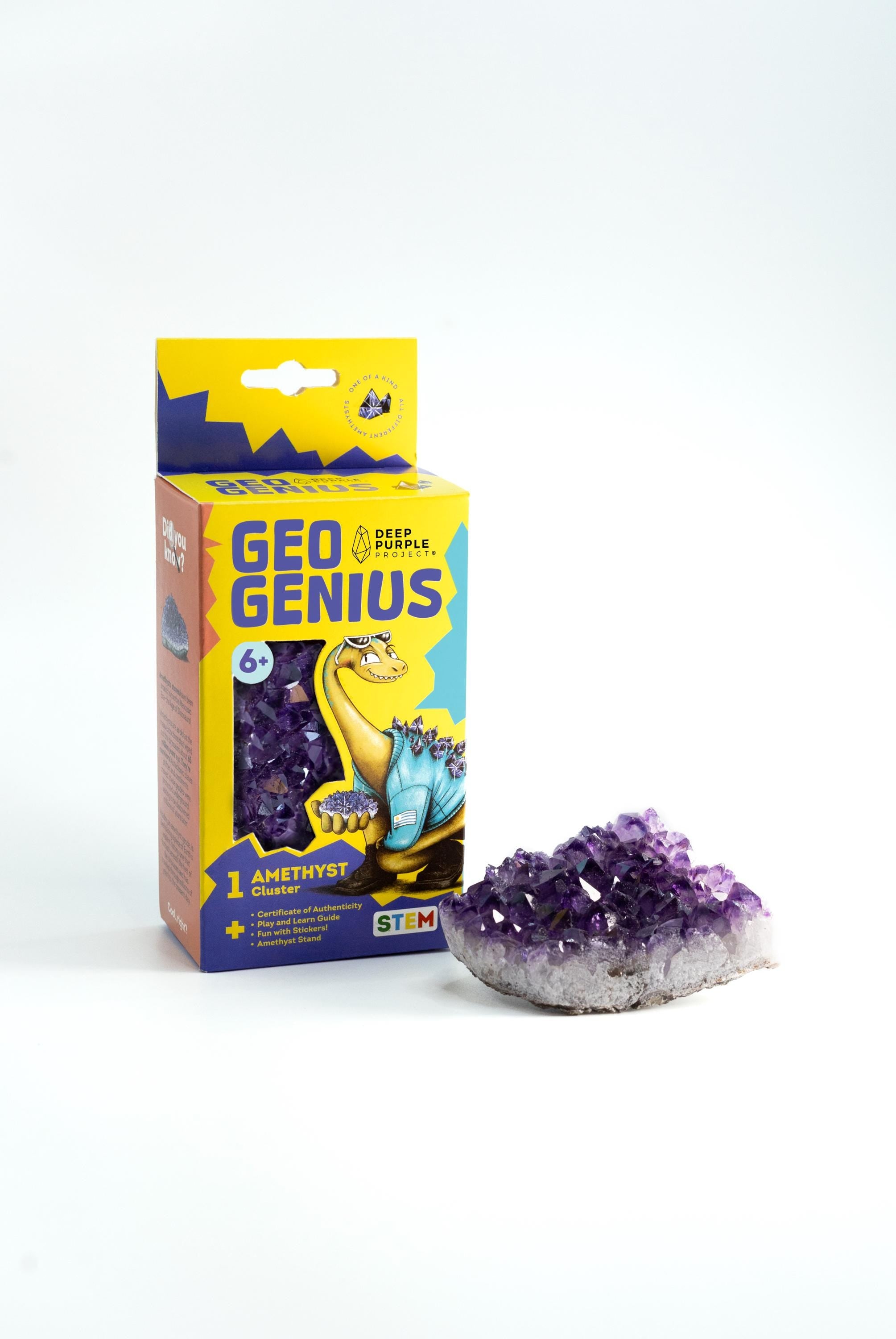 Geo Genius – Amethyst Discovery Kit for Kids (Ages 6+), Educational Crystal & Geology STEM Set