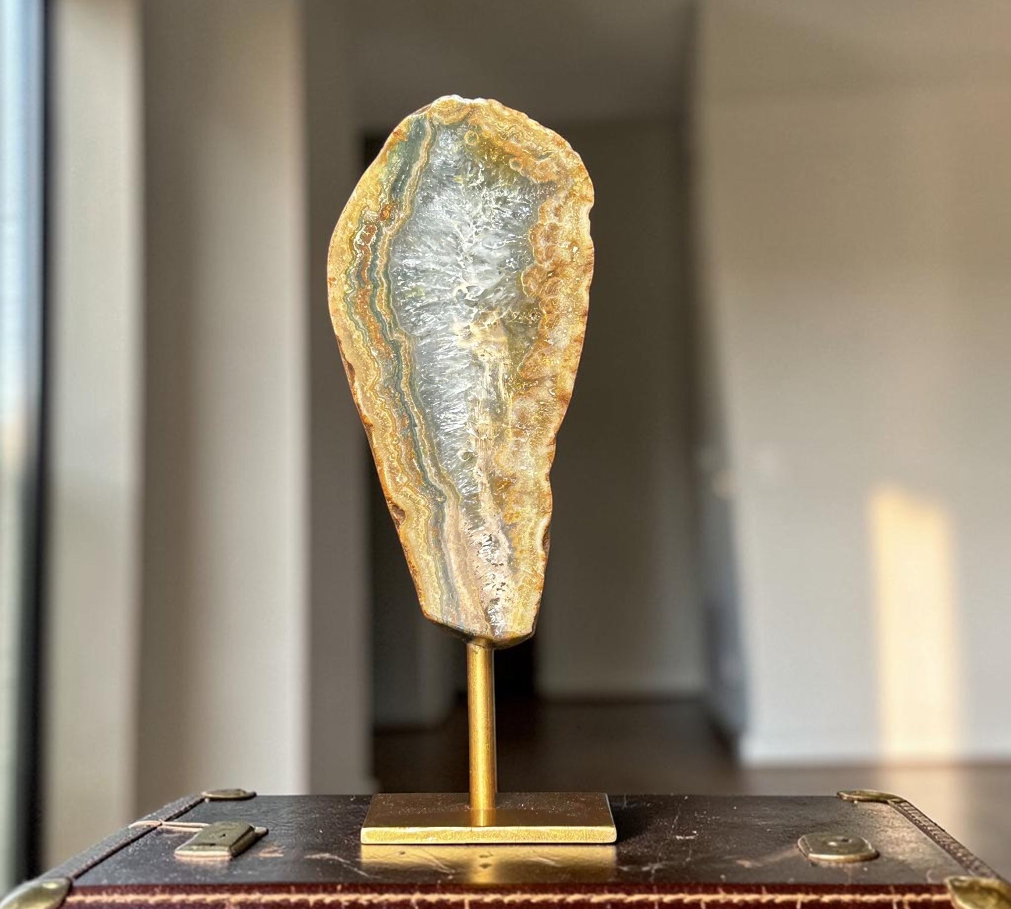 A polished jasper geode slice with iridescent blue, gray, and gold banded patterns mounted on a small brass stand, displayed on top of a vintage brown leather case in a softly blurred indoor setting.