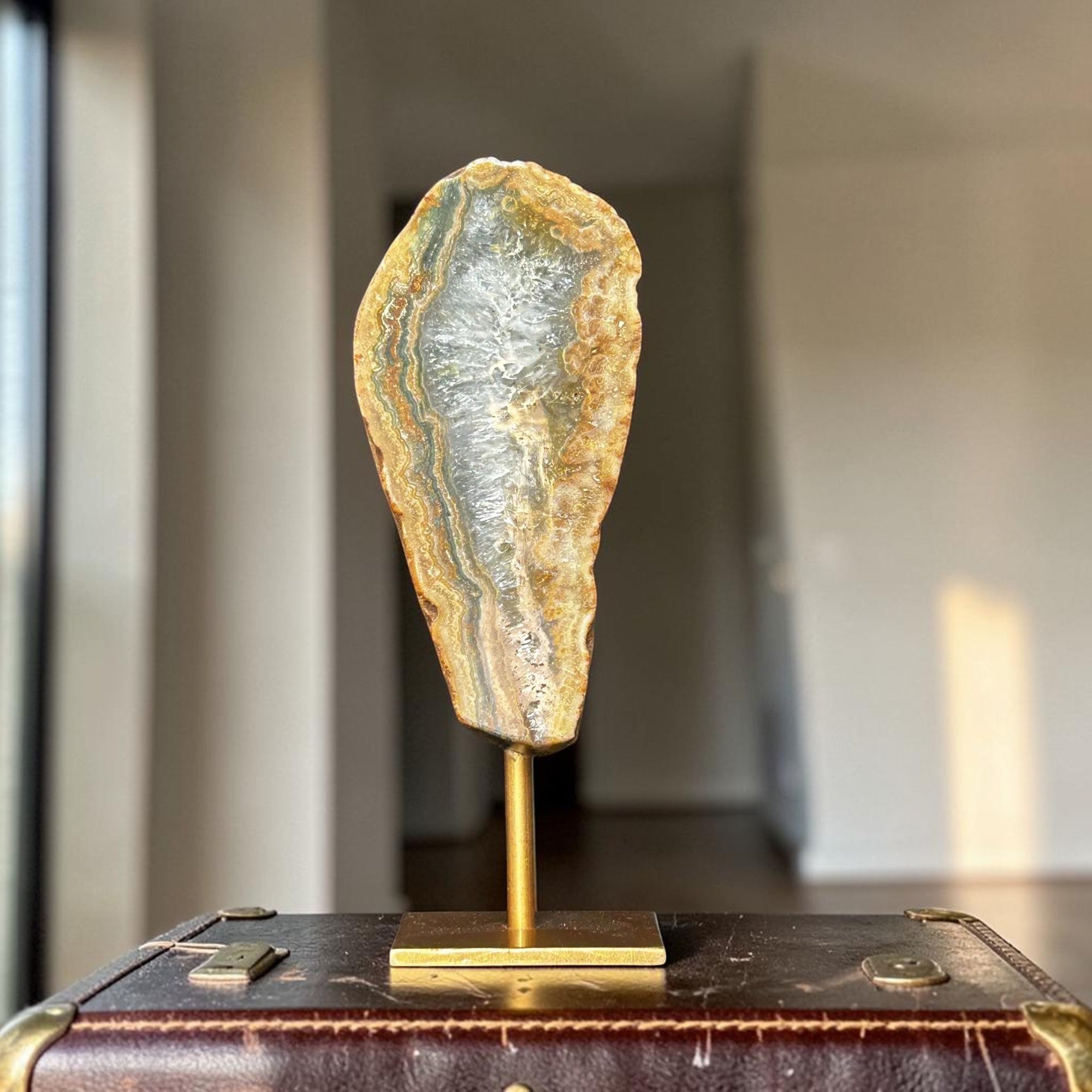 A polished jasper geode slice with iridescent blue, gray, and gold banded patterns mounted on a small brass stand, displayed on top of a vintage brown leather case in a softly blurred indoor setting.