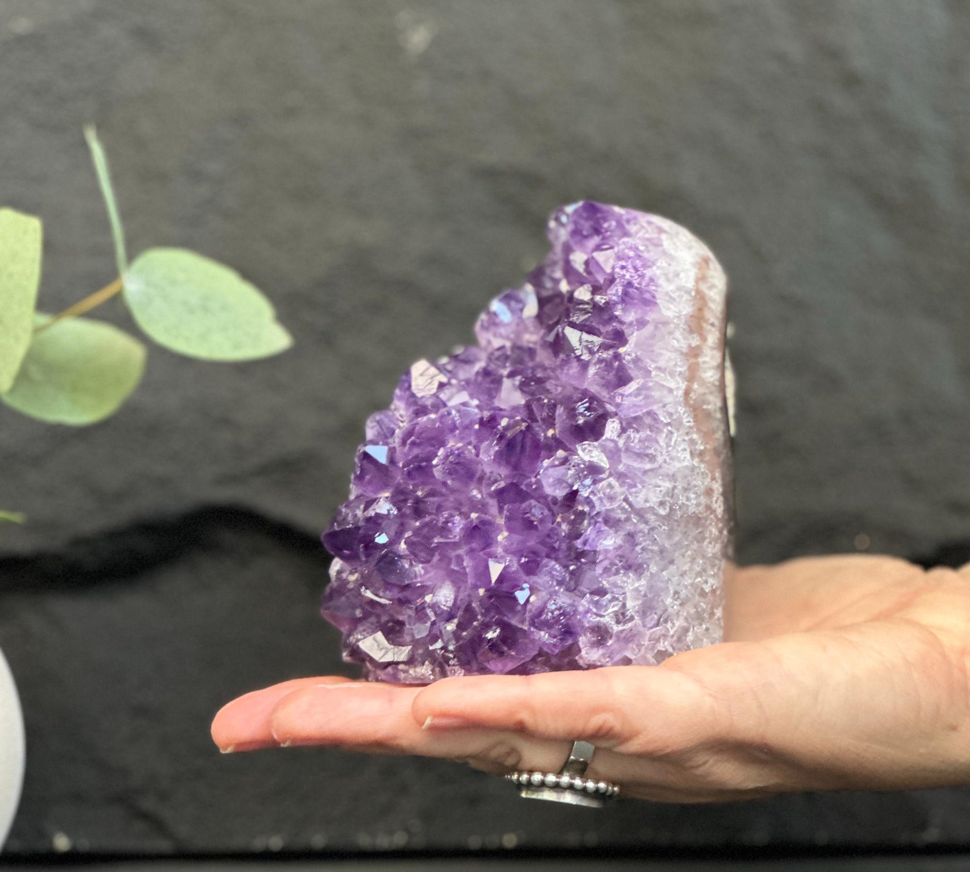 A hand holding a natural amethyst crystal cluster geode against a dark slate background with a small green plant branch in the corner.