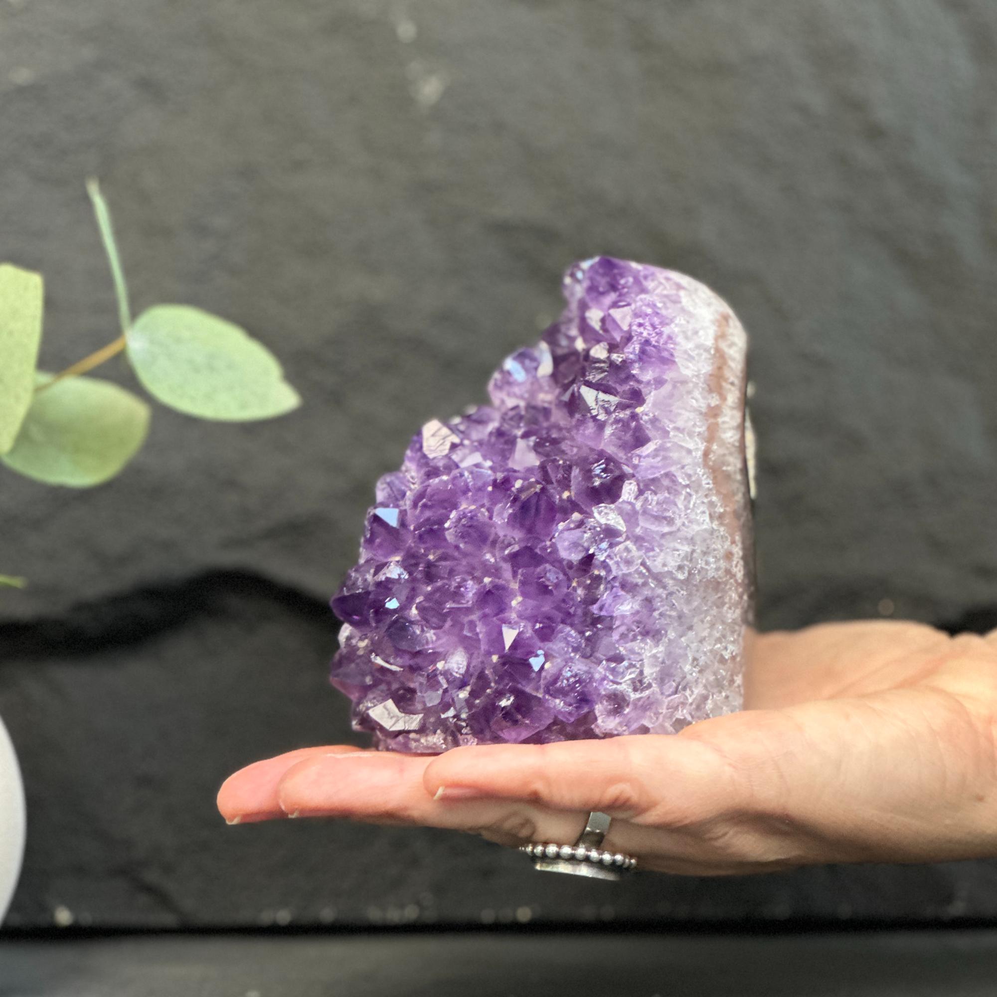 A hand holding a natural amethyst crystal cluster geode against a dark slate background with a small green plant branch in the corner.