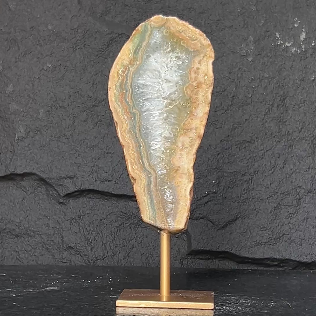 Jasper on stand
