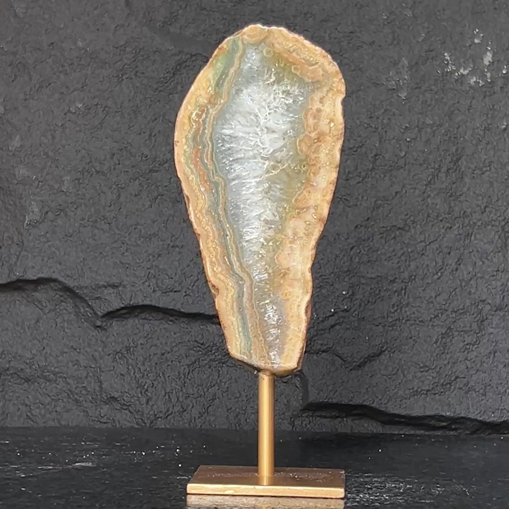 Jasper on stand