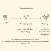 Estimated arrival timeline with shopping cart, airplane, and diamond icons.
